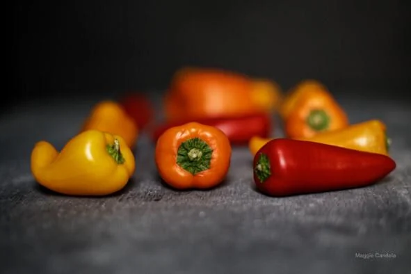 Pimiento Morron Variedad